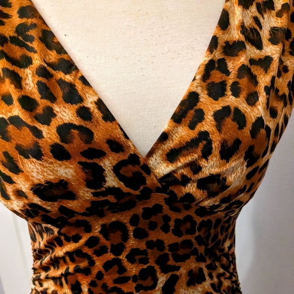 Leopard print dress - Picture 2 of 5
